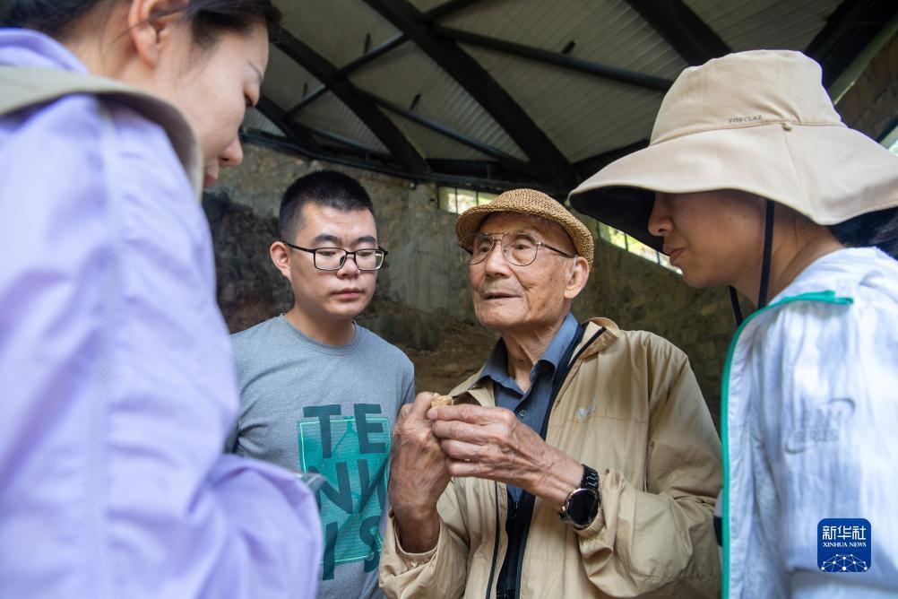 扎金花网页版源码